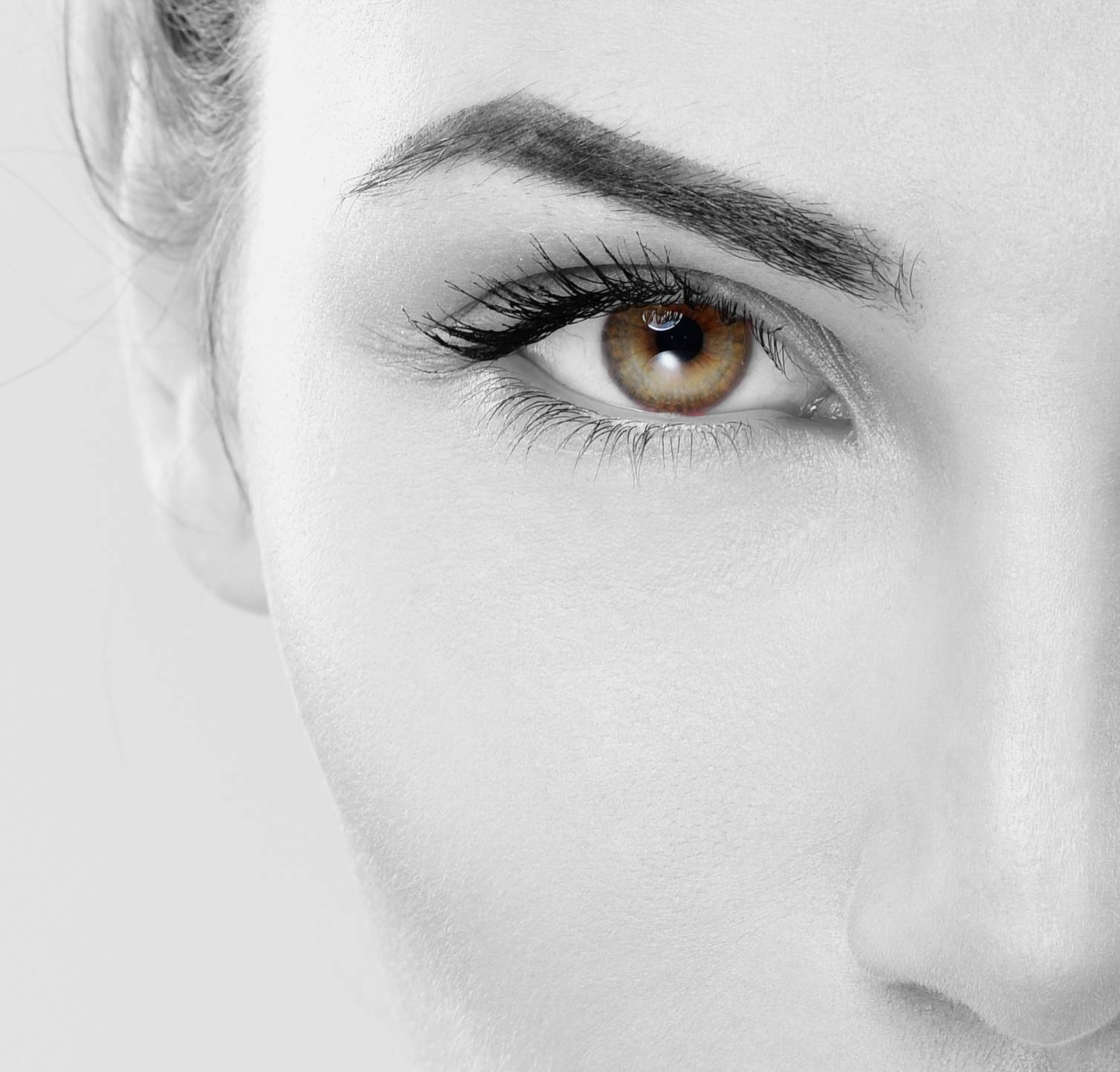 Face