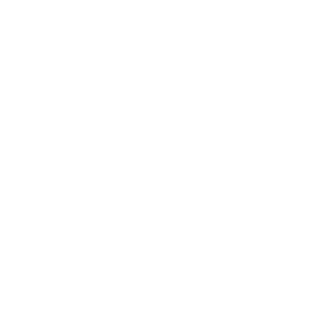 fox news channel