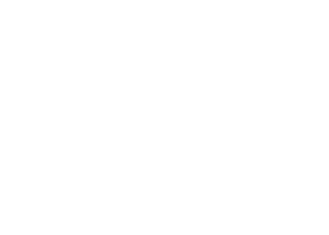the new york times