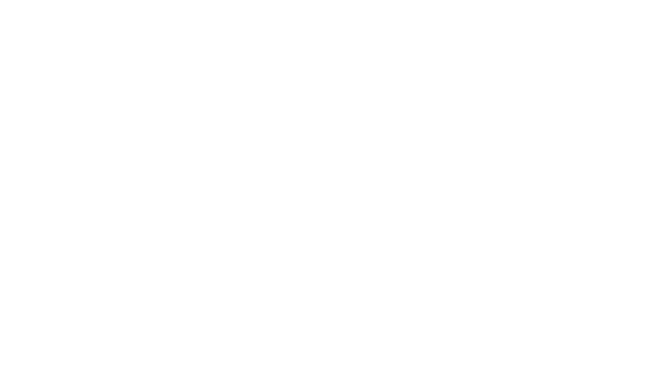 the wall street journal